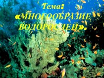 Презентация по биологии на тему Многообразие и значение водорослей (6класс)