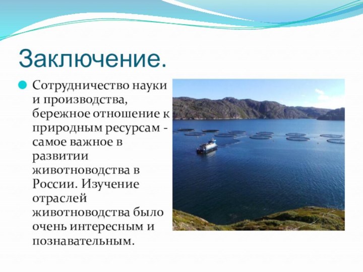 Заключение.Сотрудничество науки и производства, бережное отношение к природным ресурсам - самое важное