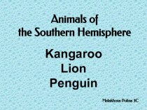 Проект-презентация Животные южного полушария, Полина М.