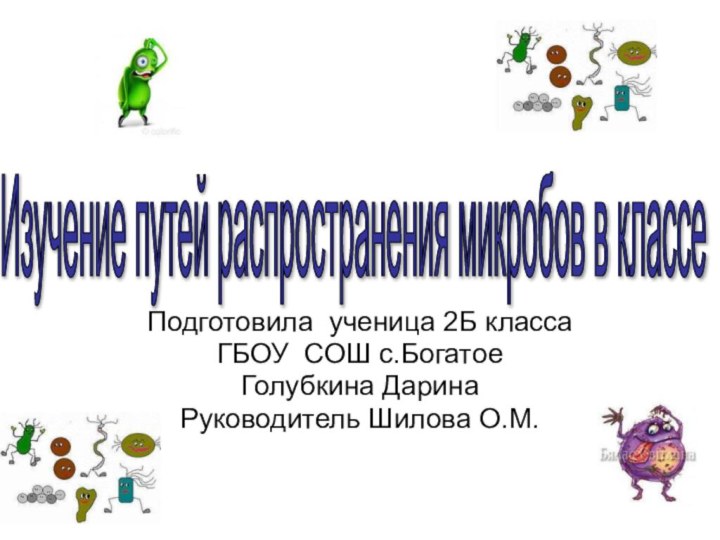 Подготовила ученица 2Б классаГБОУ СОШ с.БогатоеГолубкина ДаринаРуководитель Шилова О.М.Изучение путей распространения микробов в классе