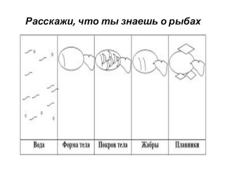 Расскажи, что ты знаешь о рыбах