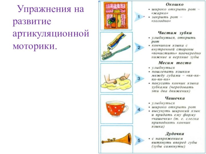 Упражнения на развитие артикуляционной моторики.