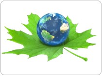 Презентация к уроку английского языка Save the Earth (7 класс)