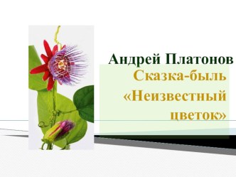 Презентация к уроку по творчеству А.П.Платонова. Неизвестный цветок.