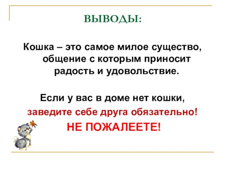 ВЫВОДЫ: Кошка – это самое милое существо, общение с которым приносит