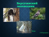 Презентация к уроку окружающего мира Баргузинский заповедник