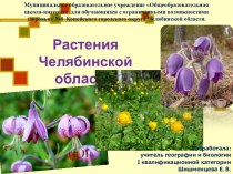 Презентация по географии на тему Растения Челябинской области (9 класс коррекционной школы 8 вида)