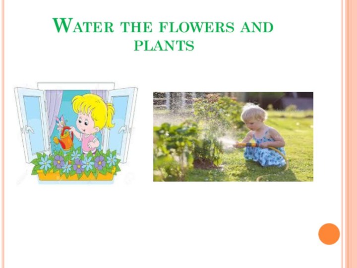 Water the flowers and plants