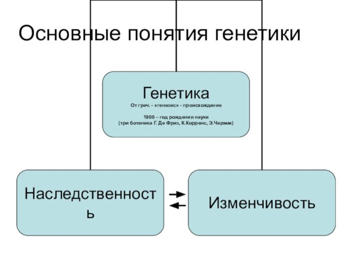 Основные понятия генетики