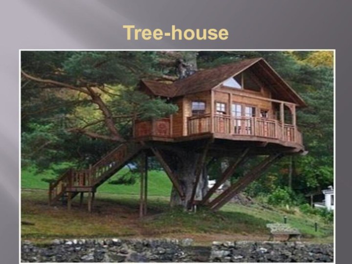 Tree-house