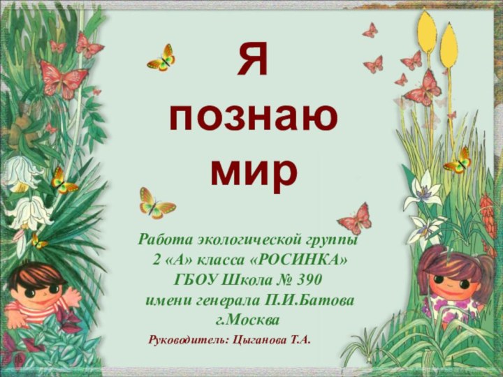 Я  познаю мирРабота экологической группы 2 «А» класса «РОСИНКА»ГБОУ Школа №