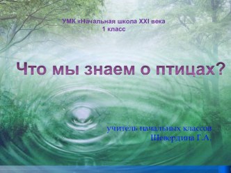 Презентация к уроку по окружающему миру на тему Что мы знаем о птицах? 1 класс