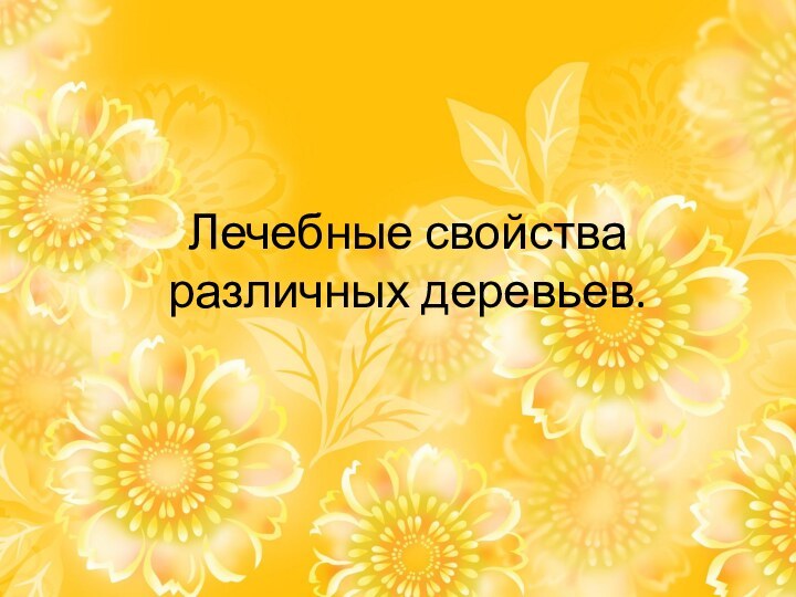 Лечебные свойства  различных деревьев.