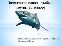 Презентация по окружающему миру Захватывающая рыба-акула(4 класс)