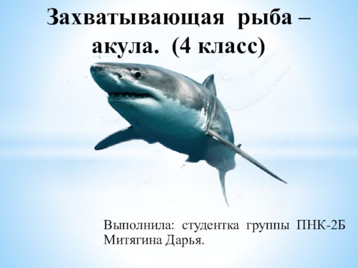 Выполнила: студентка группы ПНК-2Б     Митягина Дарья.Захватывающая рыба – акула. (4 класс)