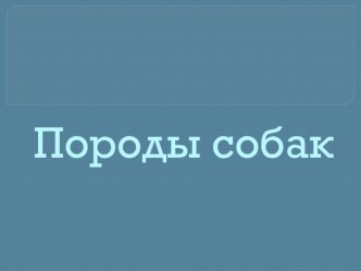 Презентация по окружающему миру Породы собак