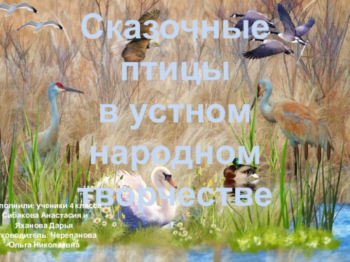 Сказочные птицы  в устном народном творчествеВыполнили: ученики 4 класса Сибакова Анастасия