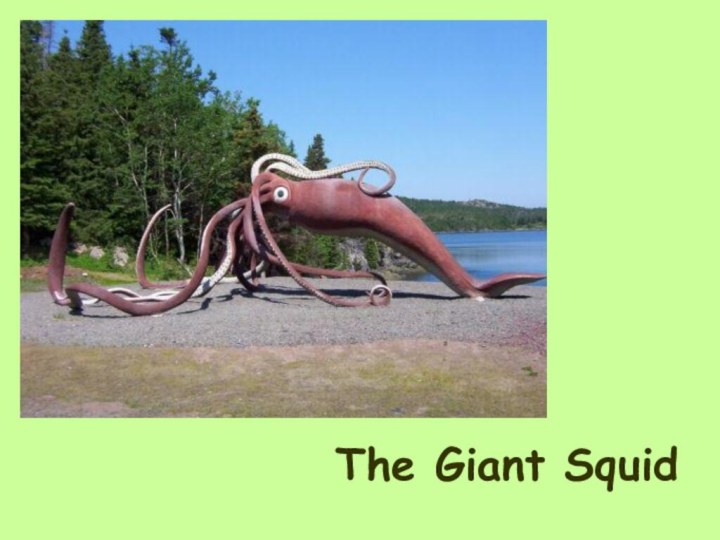 The Giant Squid