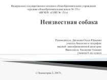 Презентация по биологии Неизвестная собака