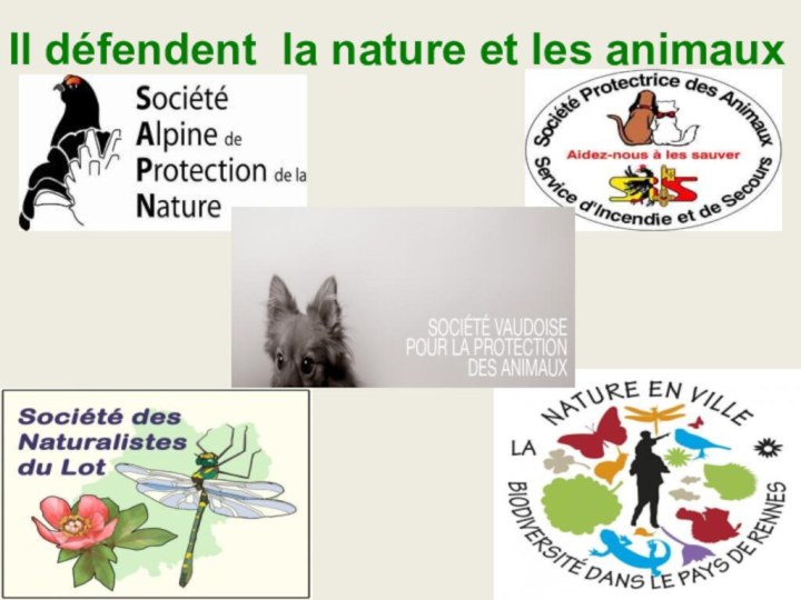 Il défendent la nature et les animaux