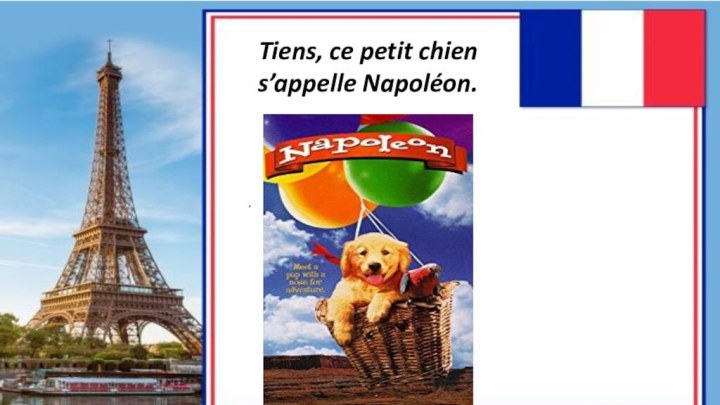 .Tiens, ce petit chien s’appelle Napoléon.