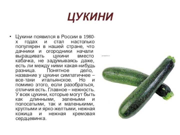 ЦУКИНИЦукини появился в России в 1980-х годах и стал настолько популярен в