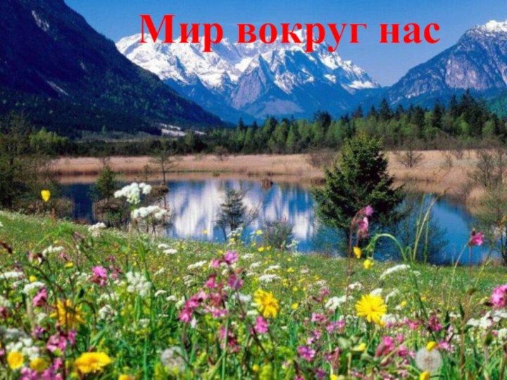 Мир вокруг нас