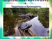 Презентация по биологии Отряды рептилий. Черепахи. Крокодилы.