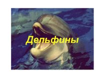 Презентация по окружающему миру по теме Чёрное море. Дельфины.