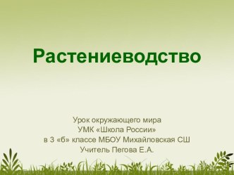 Презентация к уроку окружающего мира на тему Растениеводство (3 класс)