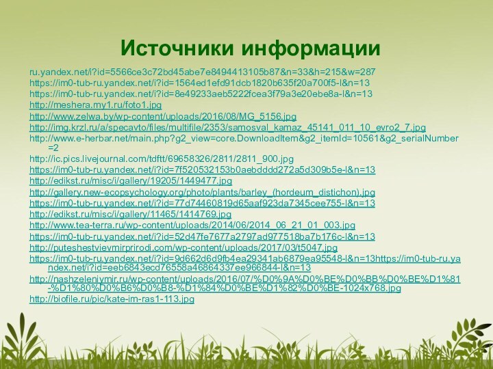 Источники информацииru.yandex.net/i?id=5566ce3c72bd45abe7e8494413105b87&n=33&h=215&w=287 https://im0-tub-ru.yandex.net/i?id=1564ed1efd91dcb1820b635f20a700f5-l&n=13 https://im0-tub-ru.yandex.net/i?id=8e49233aeb5222fcea3f79a3e20ebe8a-l&n=13 http://meshera.my1.ru/foto1.jpghttp://www.zelwa.by/wp-content/uploads/2016/08/MG_5156.jpghttp://img.krzl.ru/a/specavto/files/multifile/2353/samosval_kamaz_45141_011_10_evro2_7.jpghttp://www.e-herbar.net/main.php?g2_view=core.DownloadItem&g2_itemId=10561&g2_serialNumber=2 http://ic.pics.livejournal.com/tdftt/69658326/2811/2811_900.jpg https://im0-tub-ru.yandex.net/i?id=7f520532153b0aebdddd272a5d309b5e-l&n=13http://edikst.ru/misc/i/gallery/19205/1449477.jpghttp://gallery.new-ecopsychology.org/photo/plants/barley_(hordeum_distichon).jpghttps://im0-tub-ru.yandex.net/i?id=77d74460819d65aaf923da7345cee755-l&n=13http://edikst.ru/misc/i/gallery/11465/1414769.jpghttp://www.tea-terra.ru/wp-content/uploads/2014/06/2014_06_21_01_003.jpghttps://im0-tub-ru.yandex.net/i?id=52d47fe7677a2797ad977518ba7b176c-l&n=13http://puteshestvievmirprirodi.com/wp-content/uploads/2017/03/t5047.jpghttps://im0-tub-ru.yandex.net/i?id=9d662d6d9fb4ea29341ab6879ea95548-l&n=13https://im0-tub-ru.yandex.net/i?id=eeb6843ecd76558a46864337ee966844-l&n=13http://nashzeleniymir.ru/wp-content/uploads/2016/07/%D0%9A%D0%BE%D0%BB%D0%BE%D1%81-%D1%80%D0%B6%D0%B8-%D1%84%D0%BE%D1%82%D0%BE-1024x768.jpghttp://biofile.ru/pic/kate-im-ras1-113.jpg