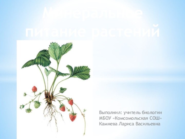 Минеральное питание растенийВыполнил: учитель биологии МБОУ «Комсомольская СОШ»Камнева Лариса Васильевна