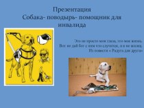 Презентация  Собака- поводырь- помощник для инвалида