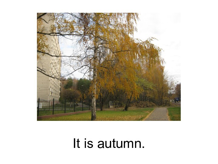 It is autumn.