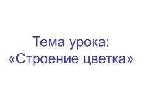 Презентация по биологии на тему Строение цветка (6 класс)