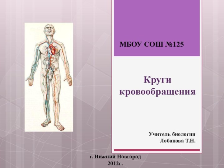 Круги кровообращенияМБОУ СОШ №125Учитель биологии Лобанова Т.Н.г. Нижний Новгород 2012г.