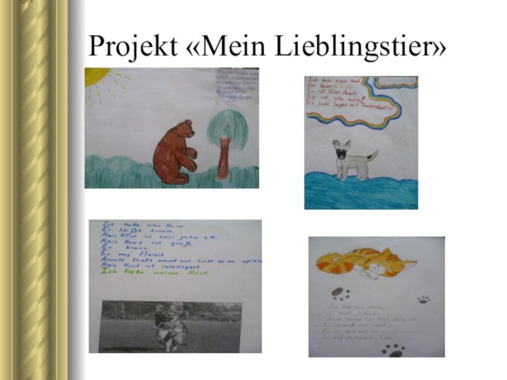 Projekt «Mein Lieblingstier»