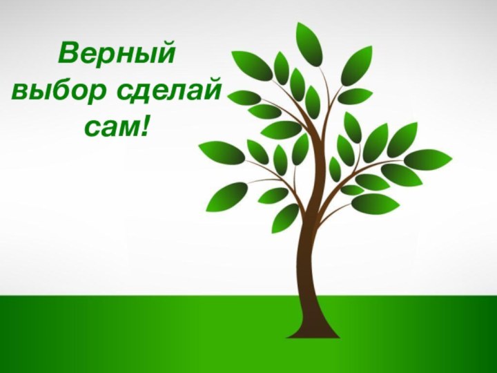 Верный выбор сделай сам!