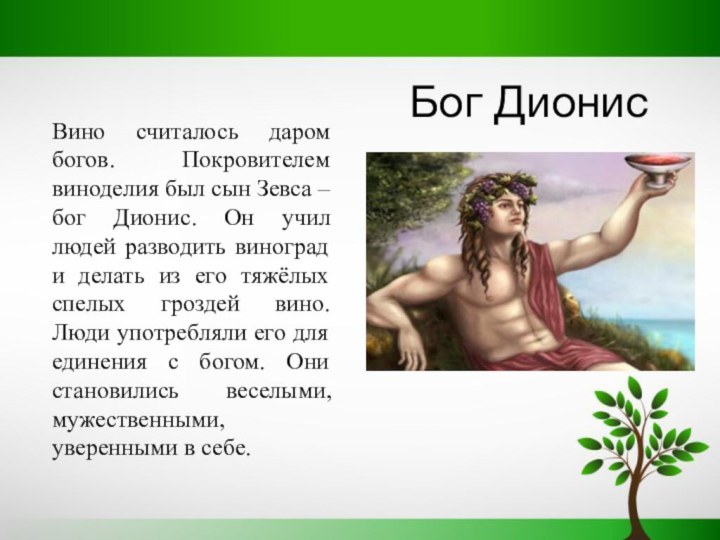 Дионис имя. Дионис сын Зевса. Дионис Бог чего. Бог Дионис в греческой мифологии. Дионис Бог виноделия.