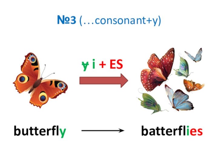 №3 (…consonant+y)y i + ESbatterfliesbutterfly