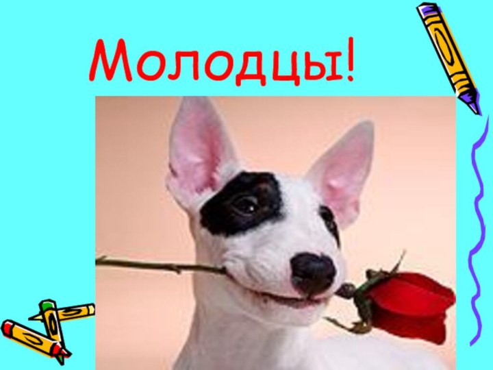 Молодцы!