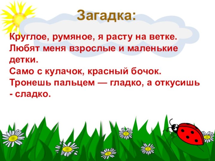 Загадка: Круглое, румяное, я расту на ветке. Любят меня взрослые и маленькие