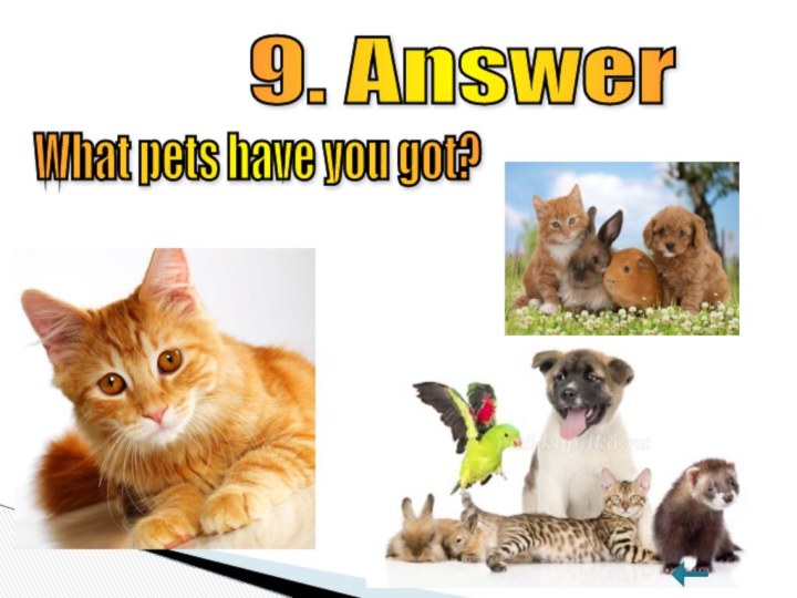 9. Answer What pets have you got?