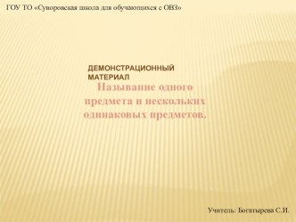 Презентация по письму и развитию речи на темуНазывание одного предмета и нескольких одинаковых предметов. (2 класс)