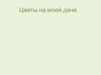 Презентация по биологии Цветы моей дачи