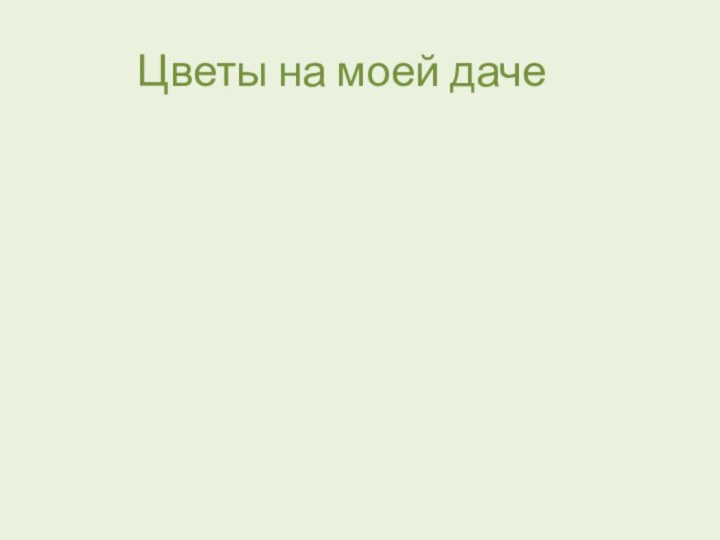 Цветы на моей даче