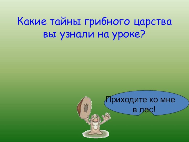 Какие тайны грибного царства вы узнали на уроке?