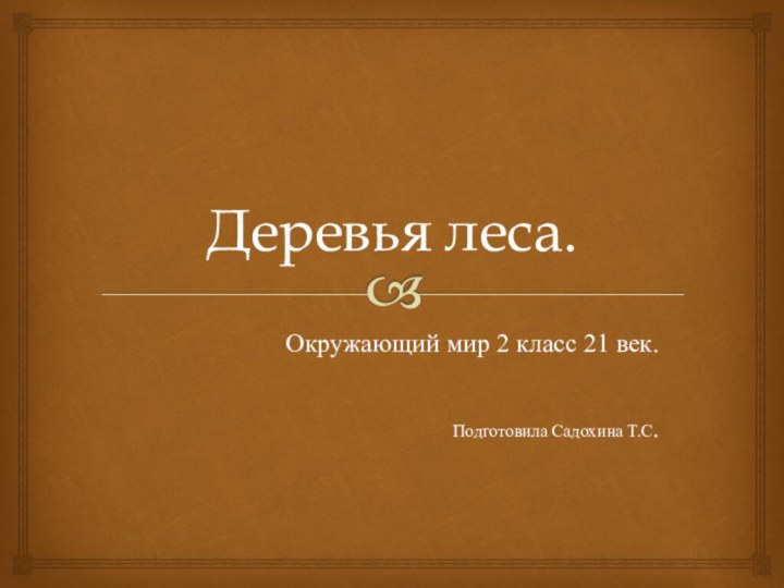 Деревья леса.Окружающий мир 2 класс 21 век.Подготовила Садохина Т.С.