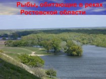 Презентация по ознакомлению с окружающим миром Рыбы, обитающие в Ростовской области