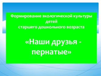 Творческая презентация Наши друзья - пернатые